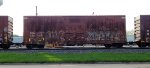 CNA 406159
